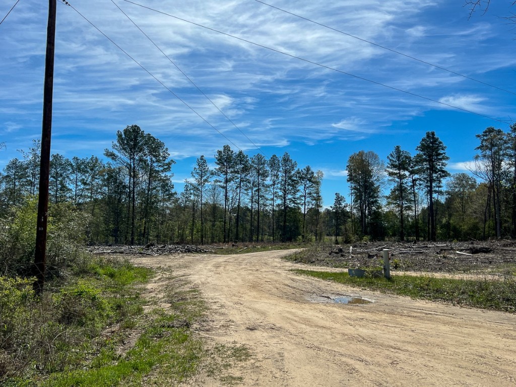 1 County Road 443 Kirbyville TX 75956