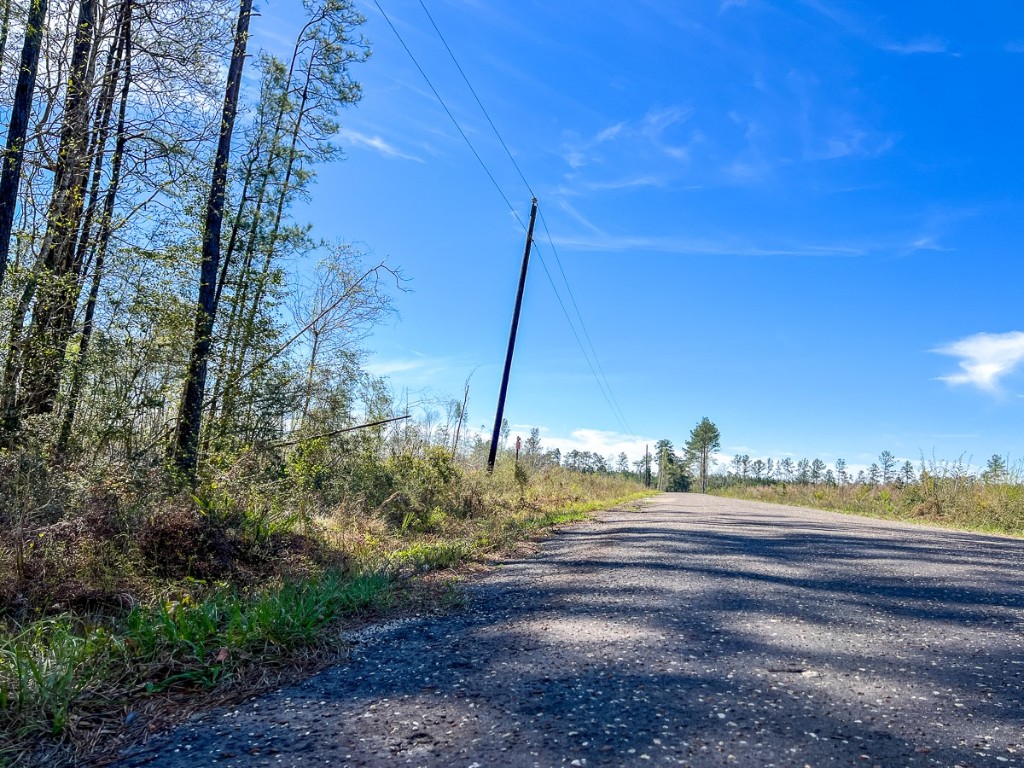 1 County Road 443 Kirbyville TX 75956