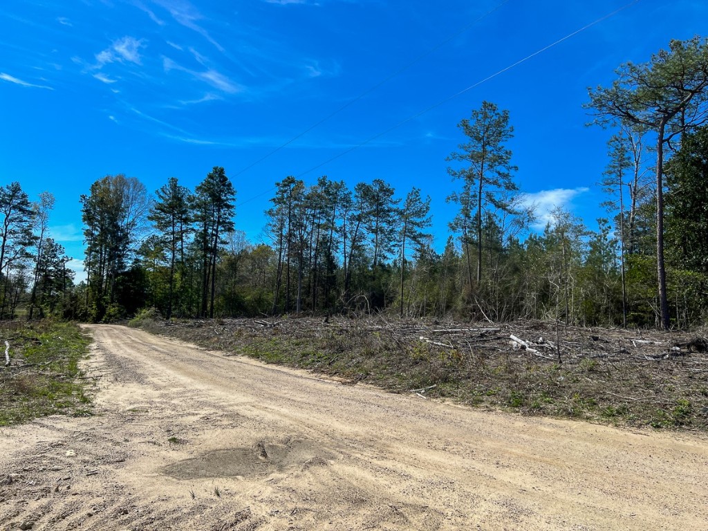 1 County Road 443 Kirbyville TX 75956