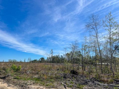 1 County Road 443 Kirbyville TX 75956