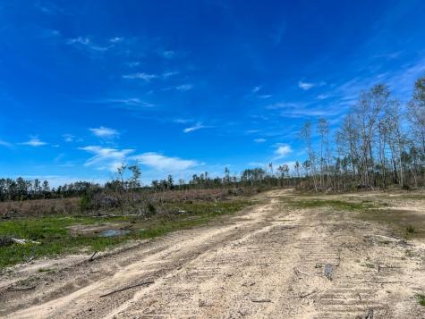 1 County Road 443 Kirbyville TX 75956