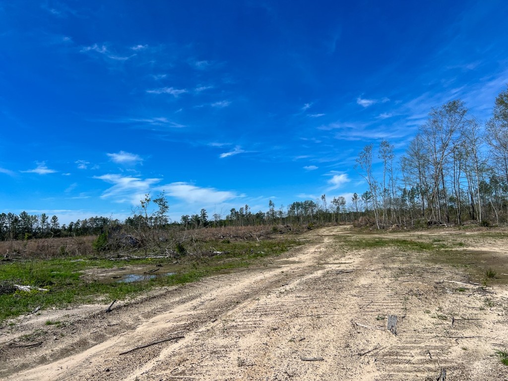 1 County Road 443 Kirbyville TX 75956