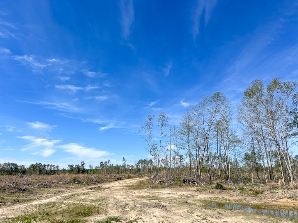 1 County Road 443 Kirbyville TX 75956