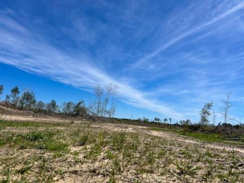 1 County Road 443 Kirbyville TX 75956