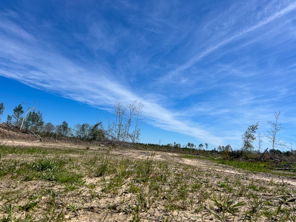 1 County Road 443 Kirbyville TX 75956