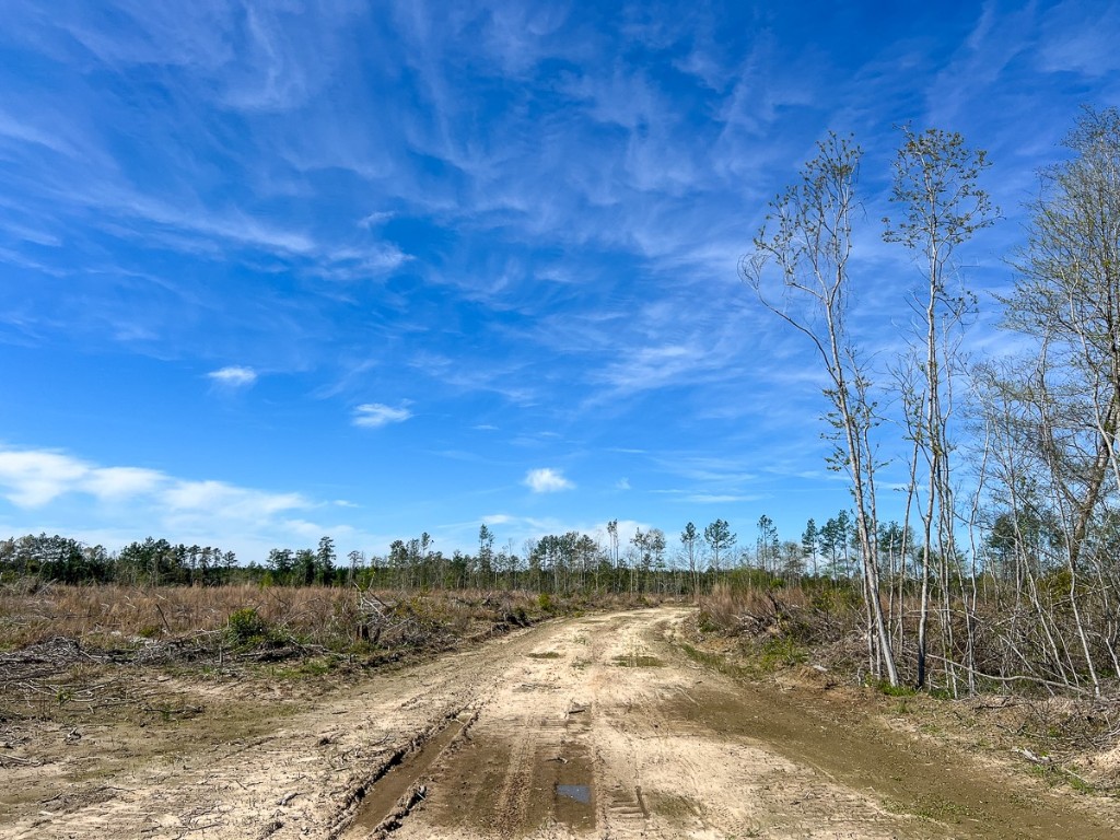1 County Road 443 Kirbyville TX 75956