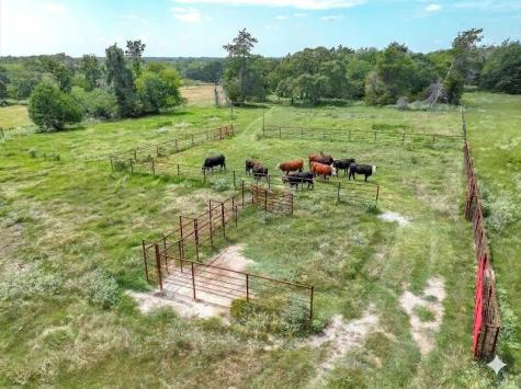 0000 Vz County Road 2212 Canton TX 75103