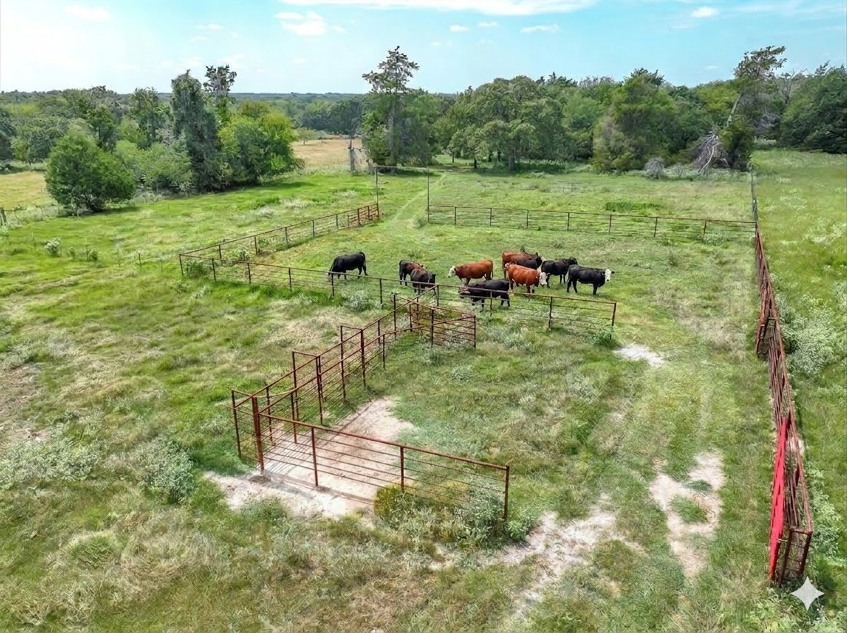 0000 Vz County Road 2212 Canton TX 75103