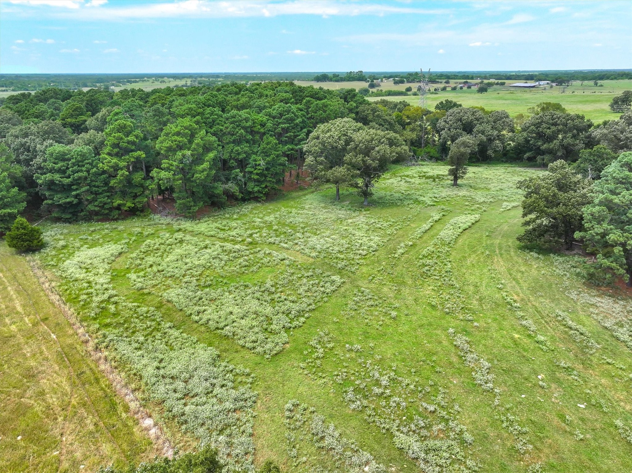 0000 Vz County Road 2212 Canton TX 75103