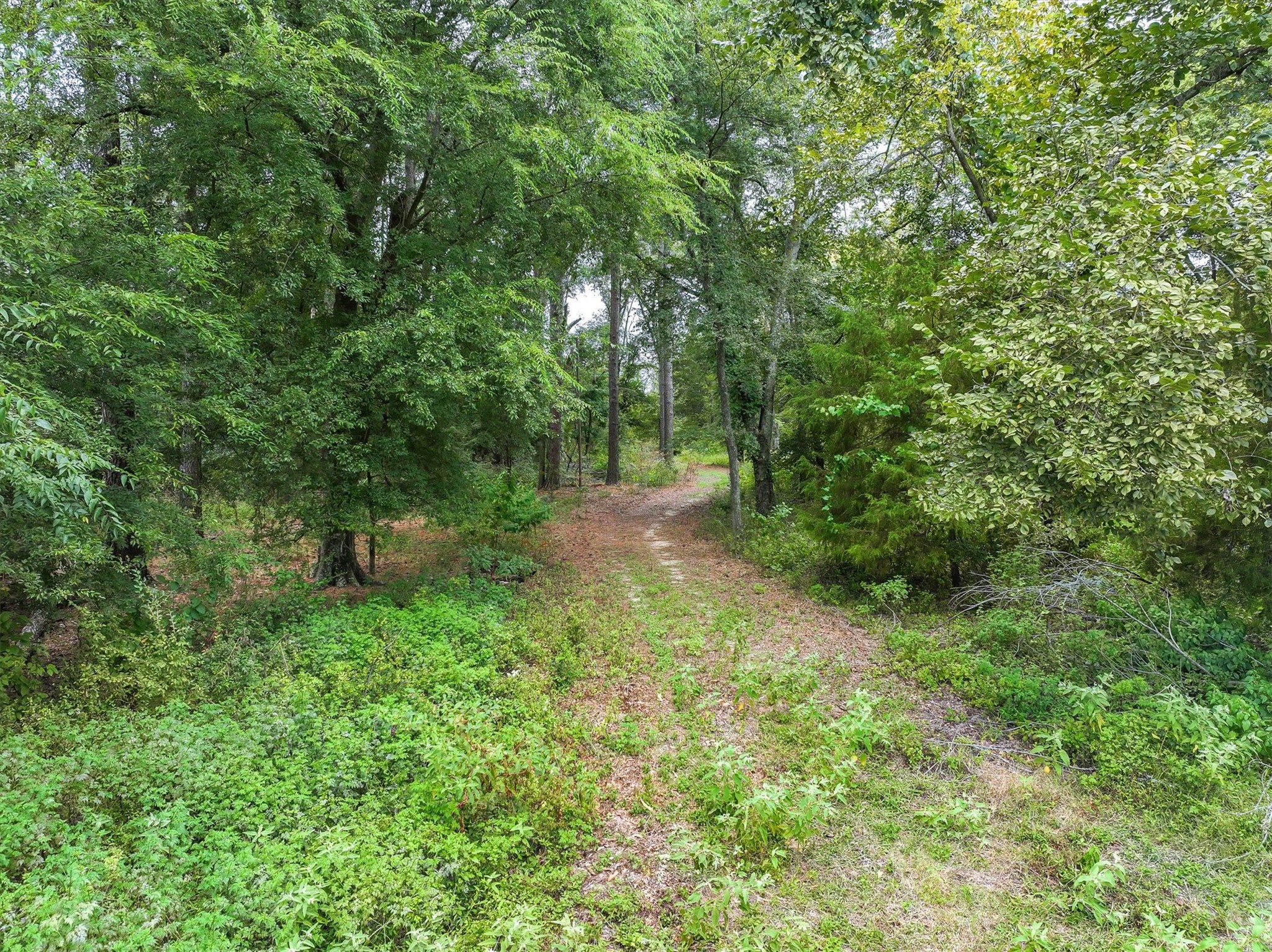 0000 Vz County Road 2212 Canton TX 75103