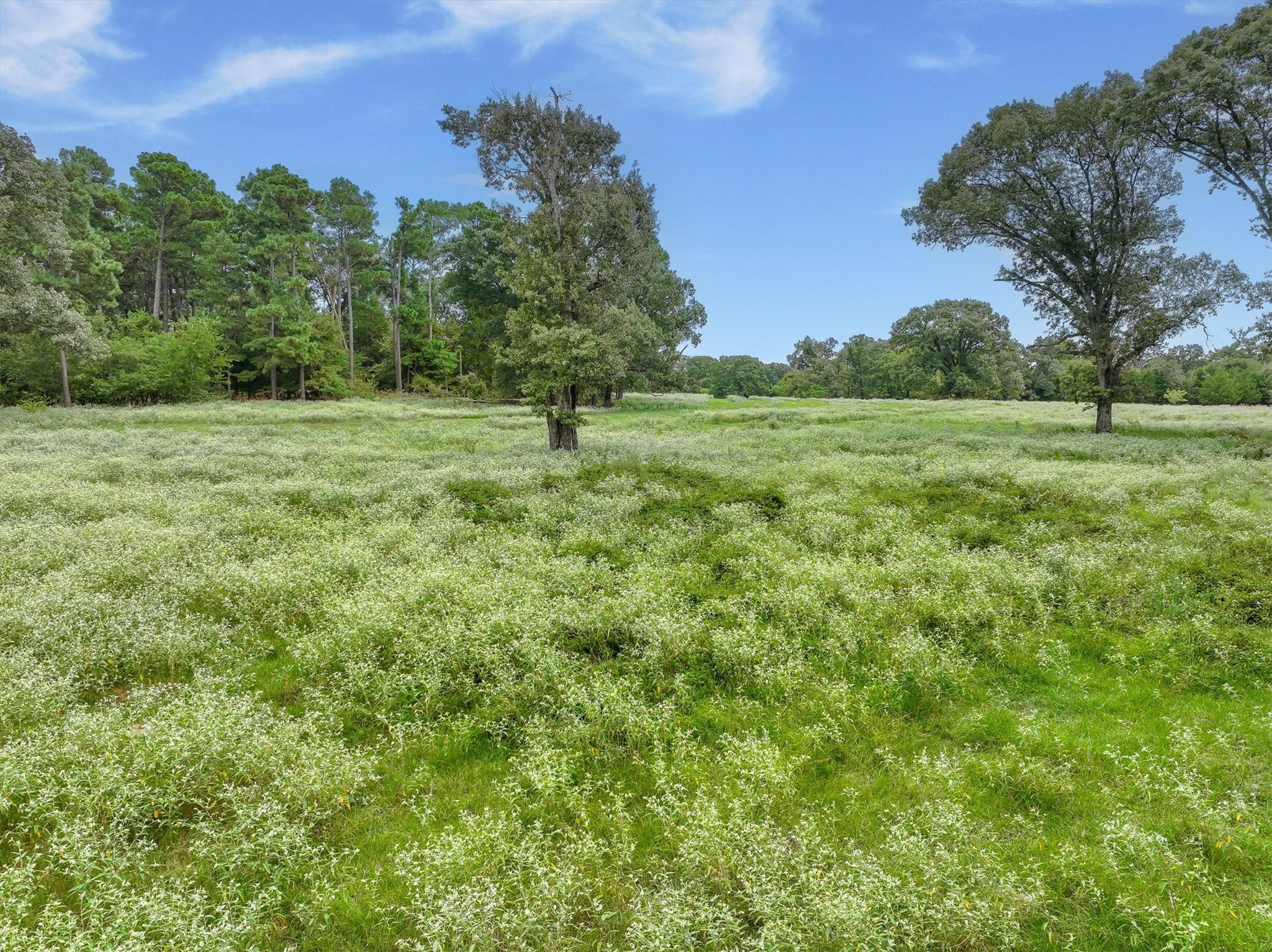 0000 Vz County Road 2212 Canton TX 75103