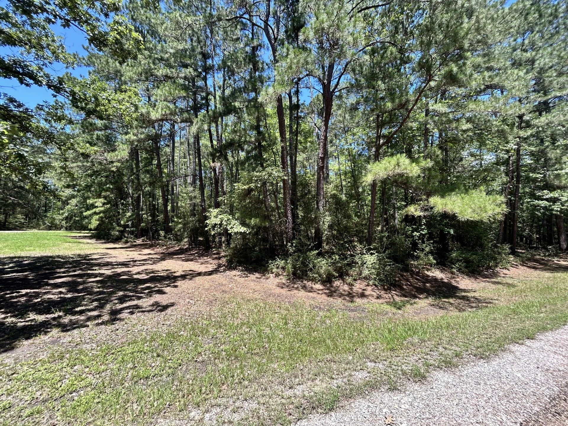 Lot 19 Bh Caroll Street Trinity TX 75862