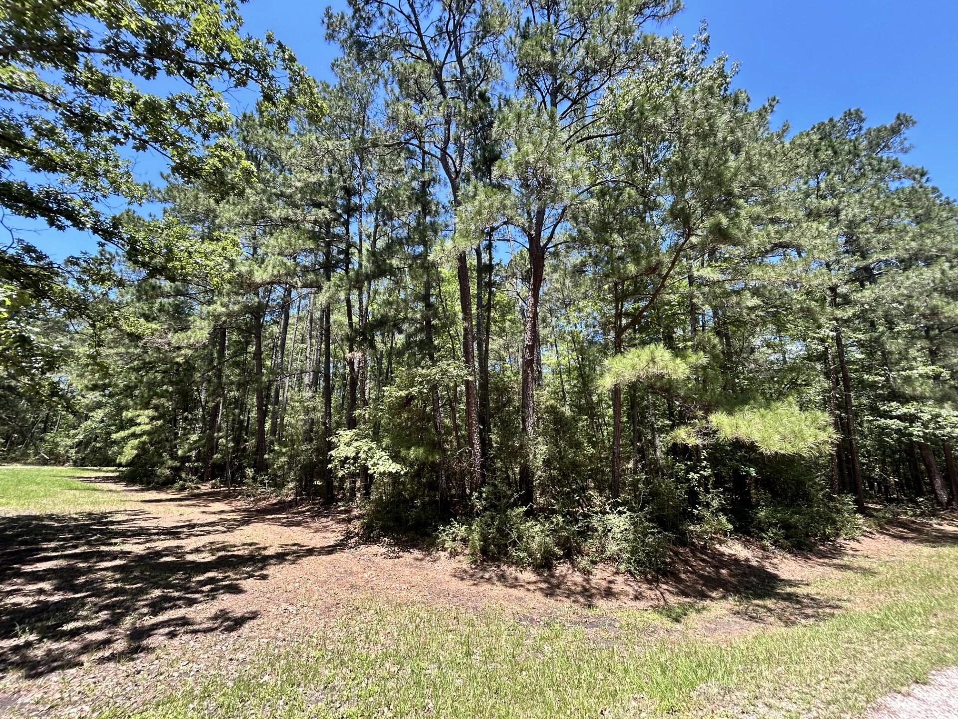 Lot 19 Bh Caroll Street Trinity TX 75862