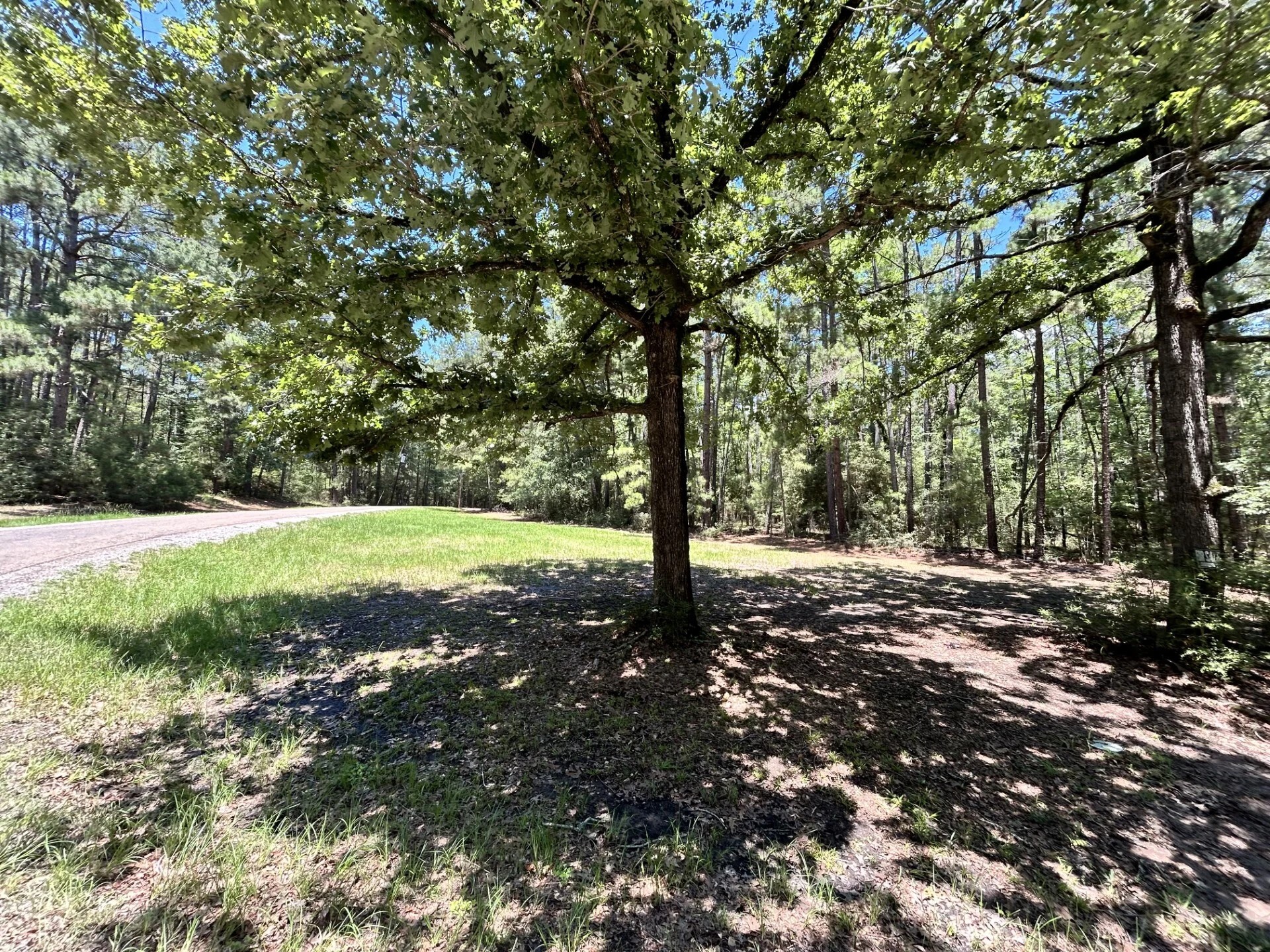 Lot 19 Bh Caroll Street Trinity TX 75862