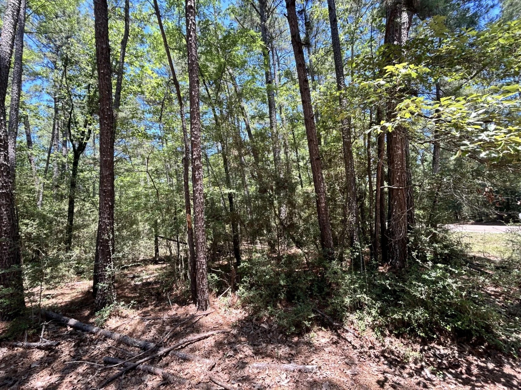 Lot 19 Bh Caroll Street Trinity TX 75862