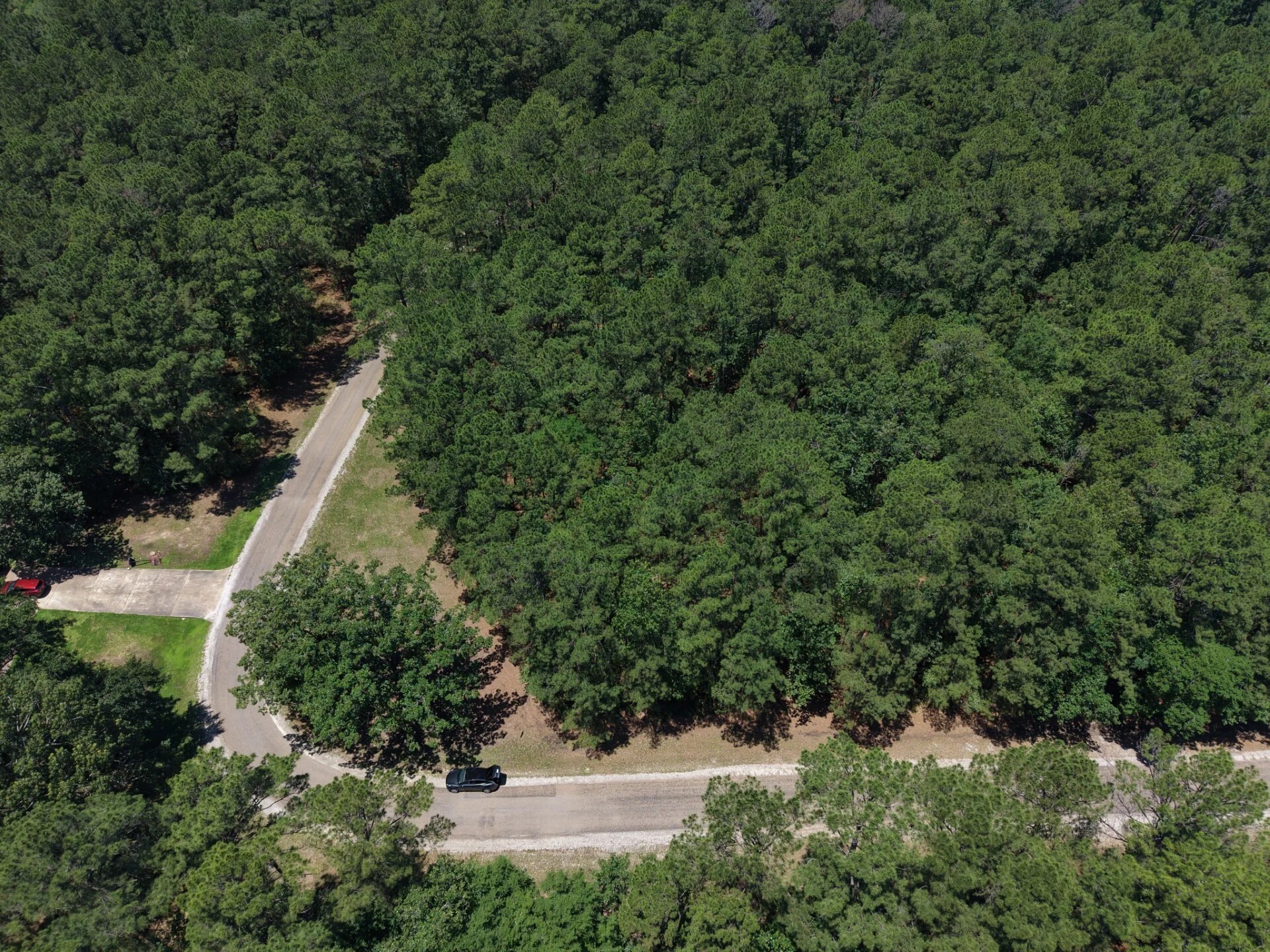 Lot 19 Bh Caroll Street Trinity TX 75862