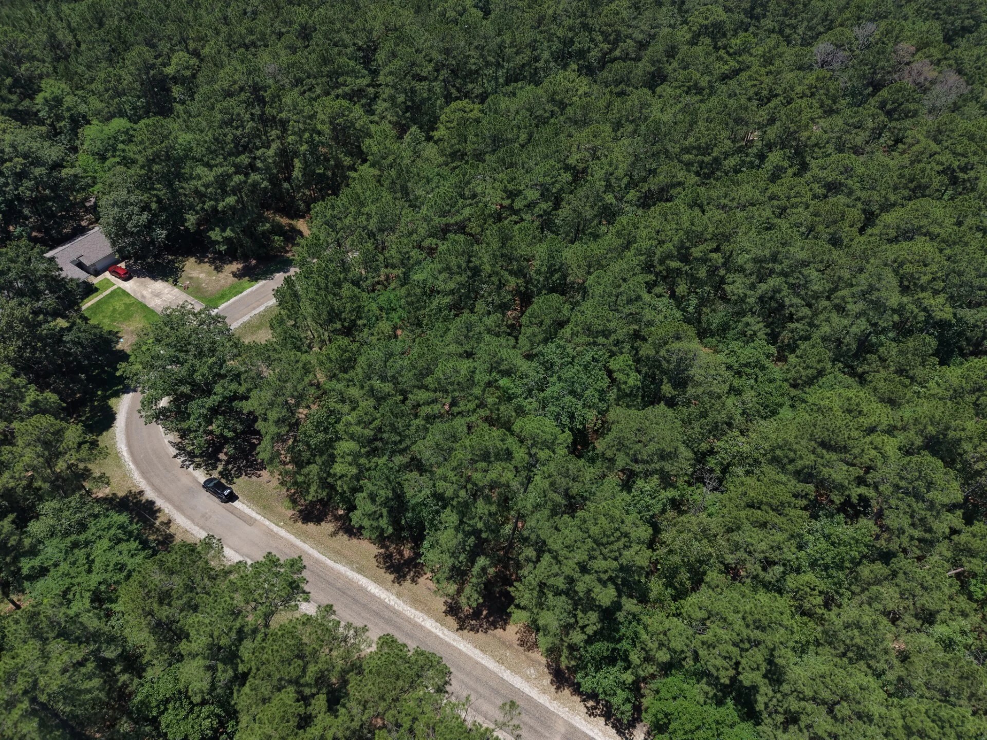 Lot 19 Bh Caroll Street Trinity TX 75862