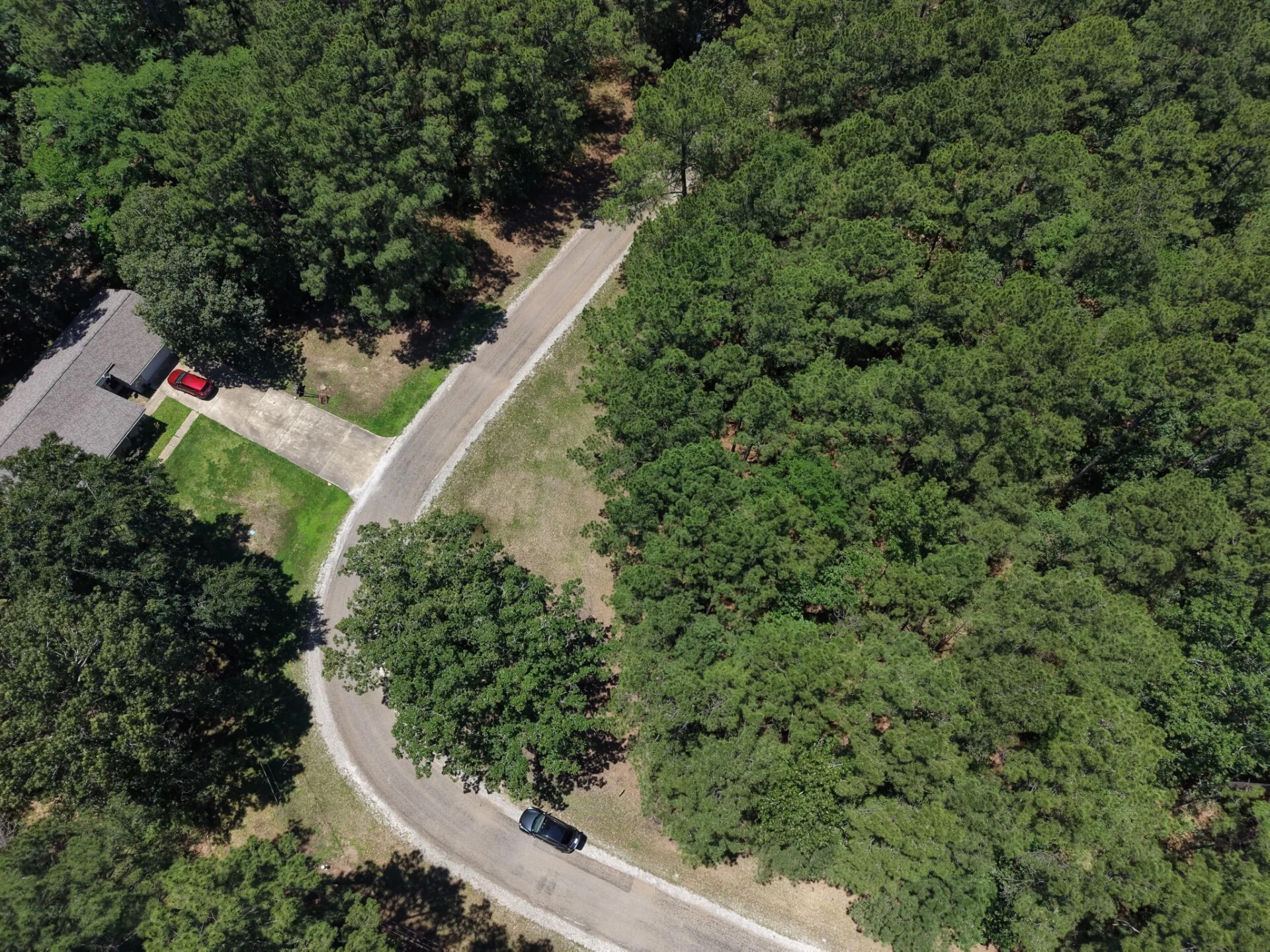 Lot 19 Bh Caroll Street Trinity TX 75862