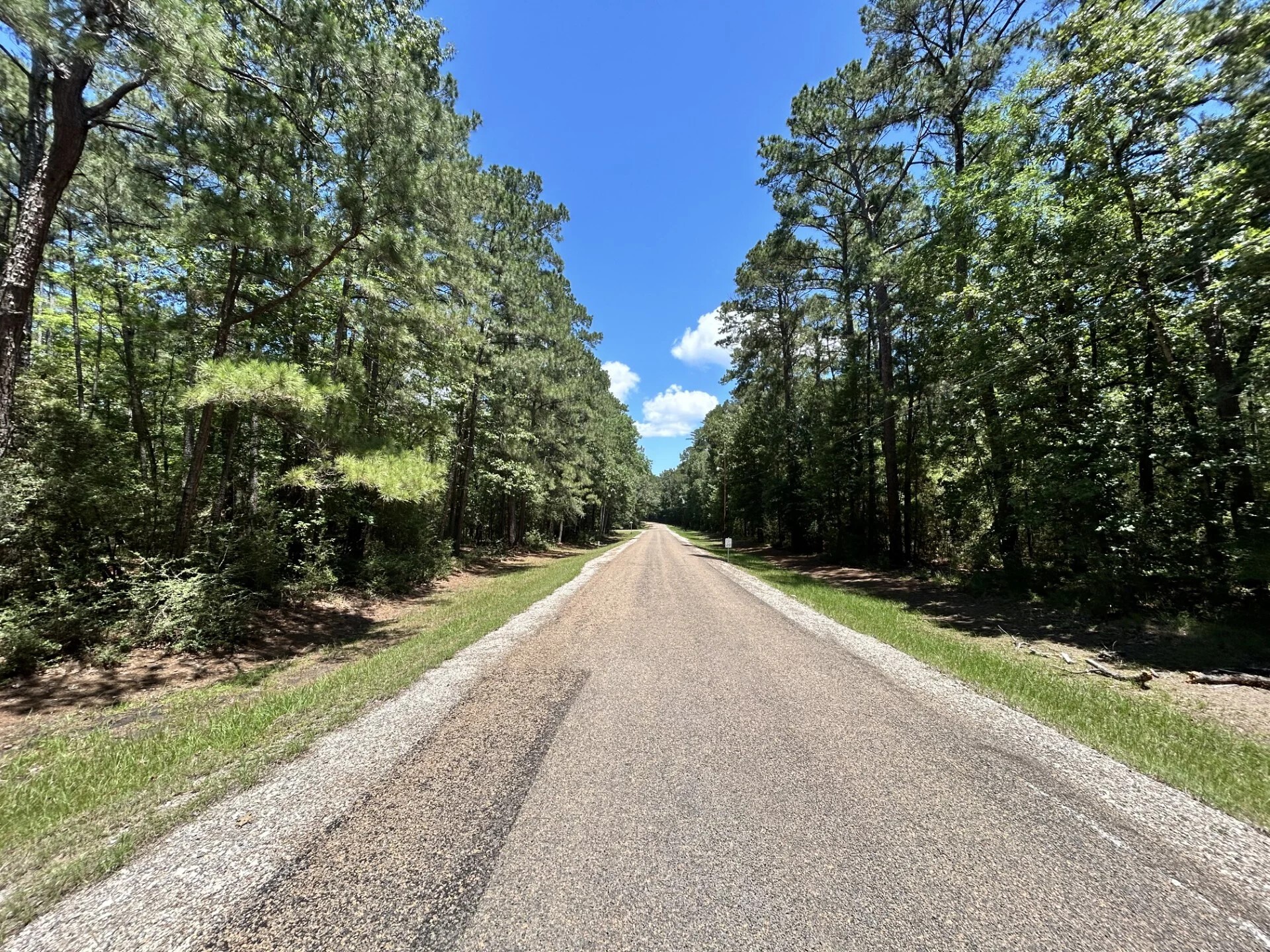 Lot 19 Bh Caroll Street Trinity TX 75862