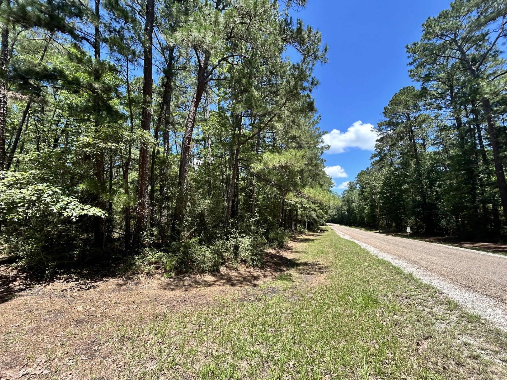 Lot 19 Bh Caroll Street Trinity TX 75862