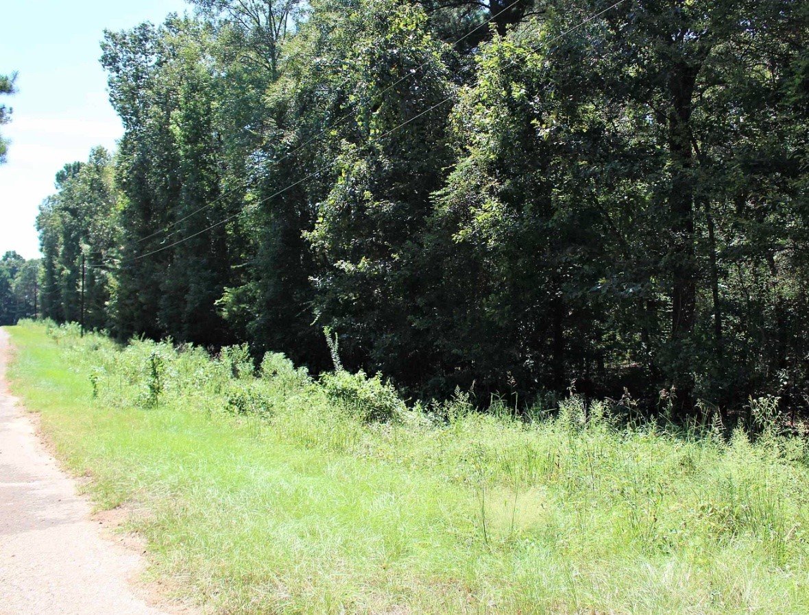 Tbd Sunset Loop Avinger TX 75630