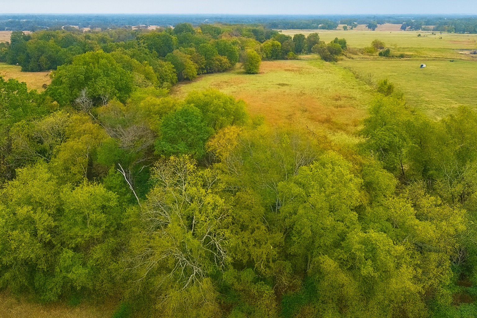 Tbd Vzcr 1118 Grand Saline TX 75140