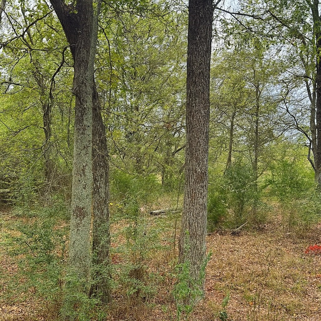 Tbd Vzcr 1118 Grand Saline TX 75140