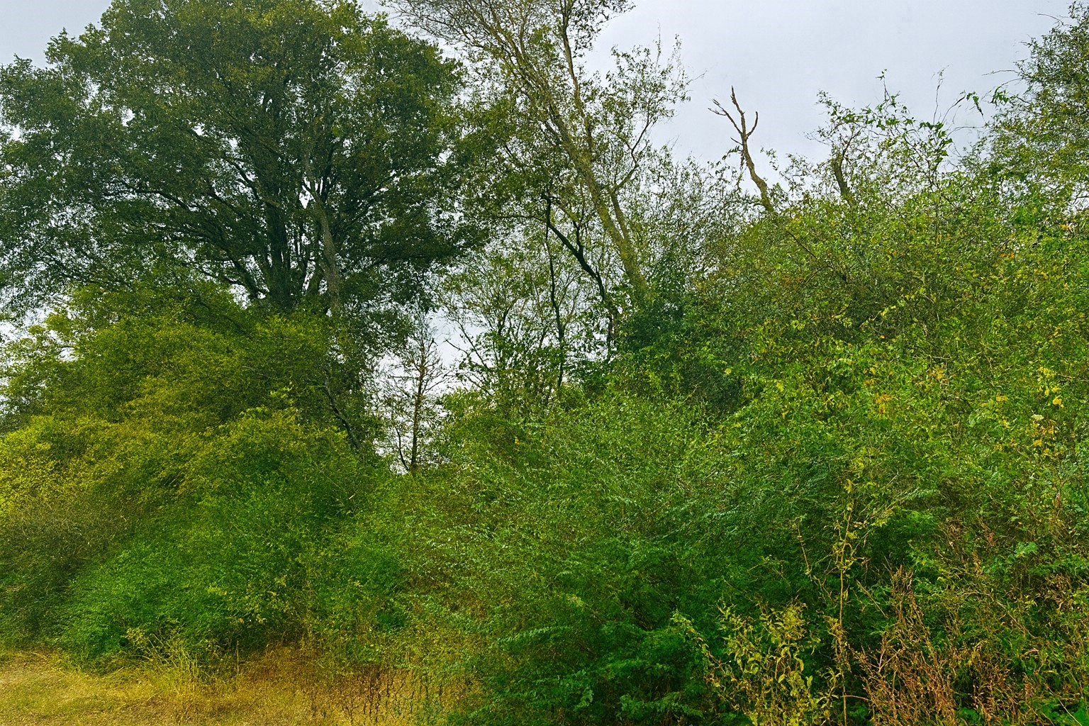 Tbd Vzcr 1118 Grand Saline TX 75140