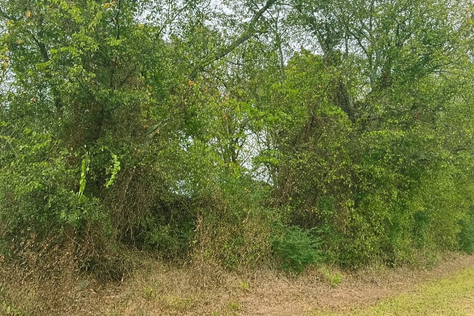 Tbd Vzcr 1118 Grand Saline TX 75140