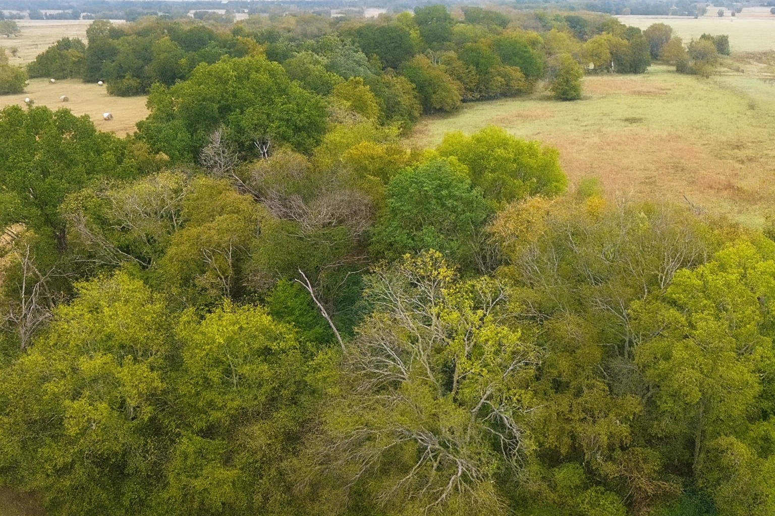 Tbd Vzcr 1118 Grand Saline TX 75140