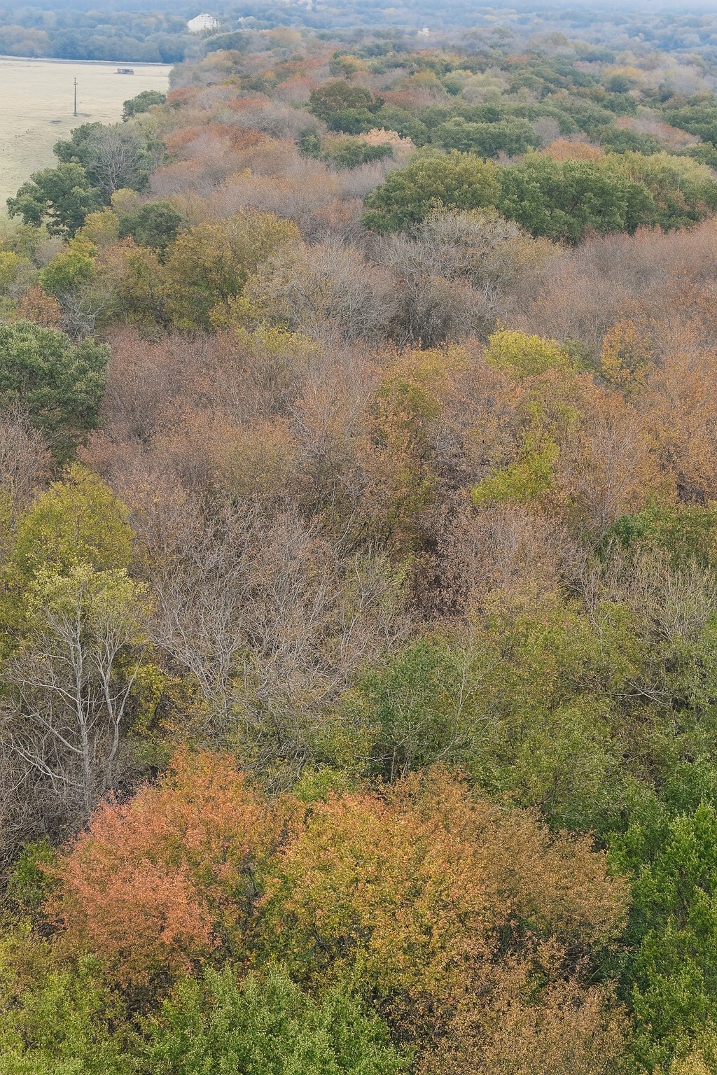 Tbd Vzcr 1118 Grand Saline TX 75140