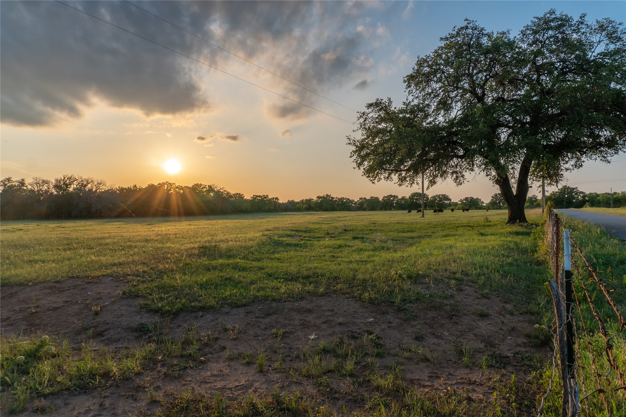 4750 Coleman Ranch Road Tolar TX 76476