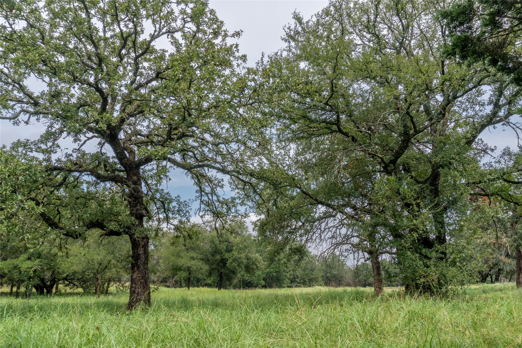 4750 Coleman Ranch Road Tolar TX 76476