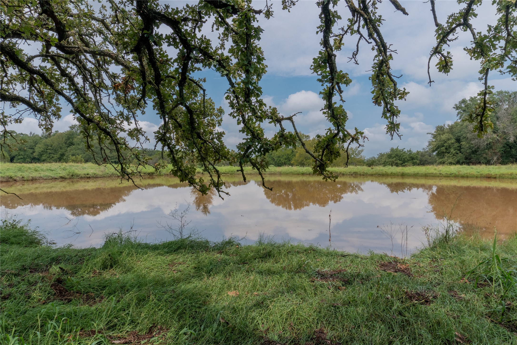 4750 Coleman Ranch Road Tolar TX 76476