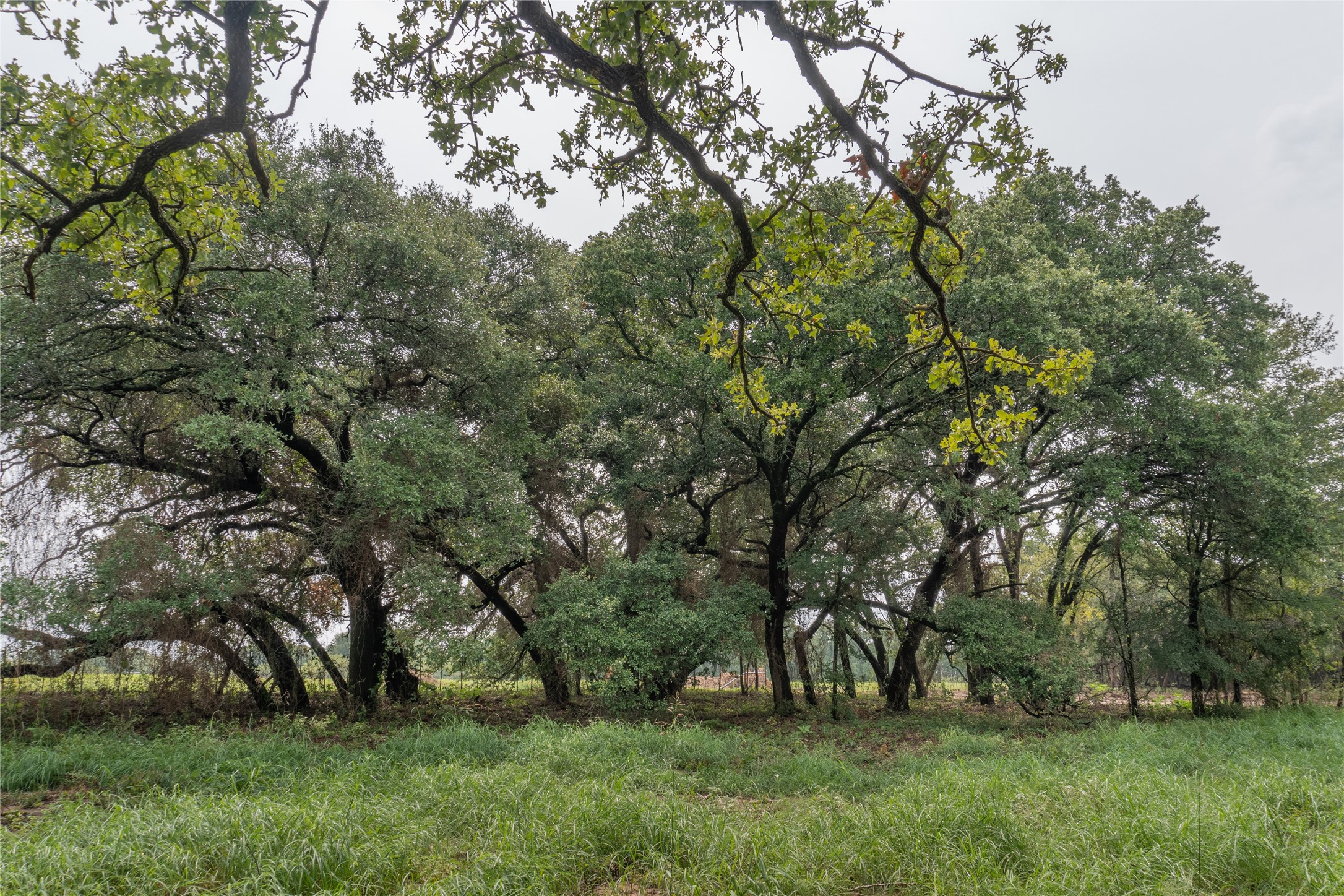 4750 Coleman Ranch Road Tolar TX 76476