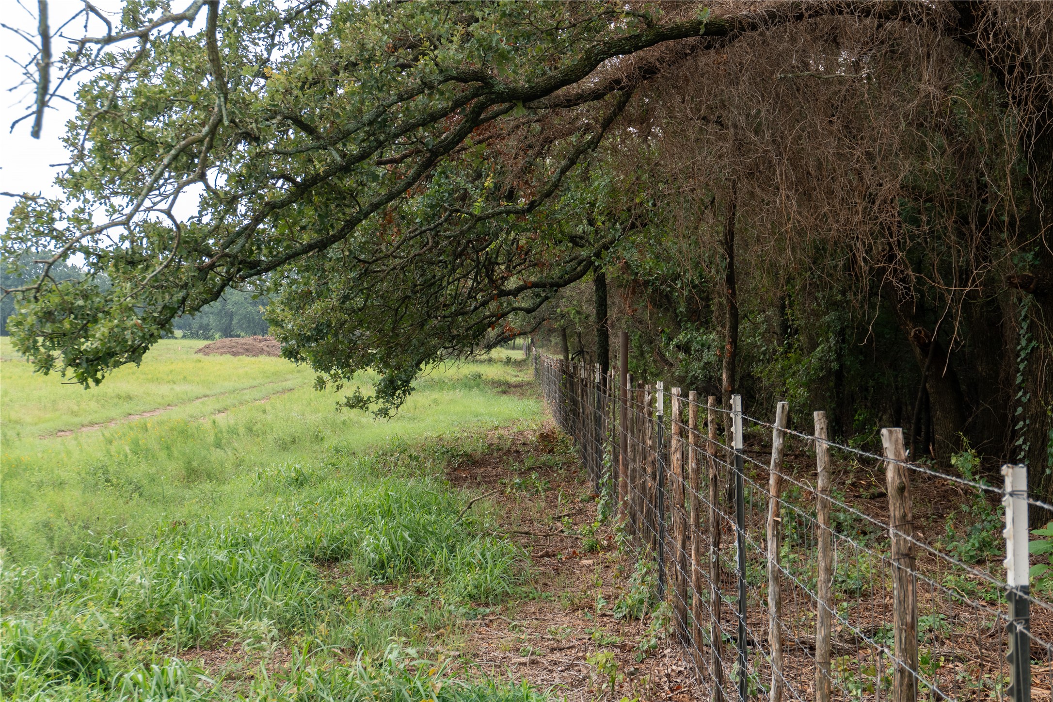 4750 Coleman Ranch Road Tolar TX 76476