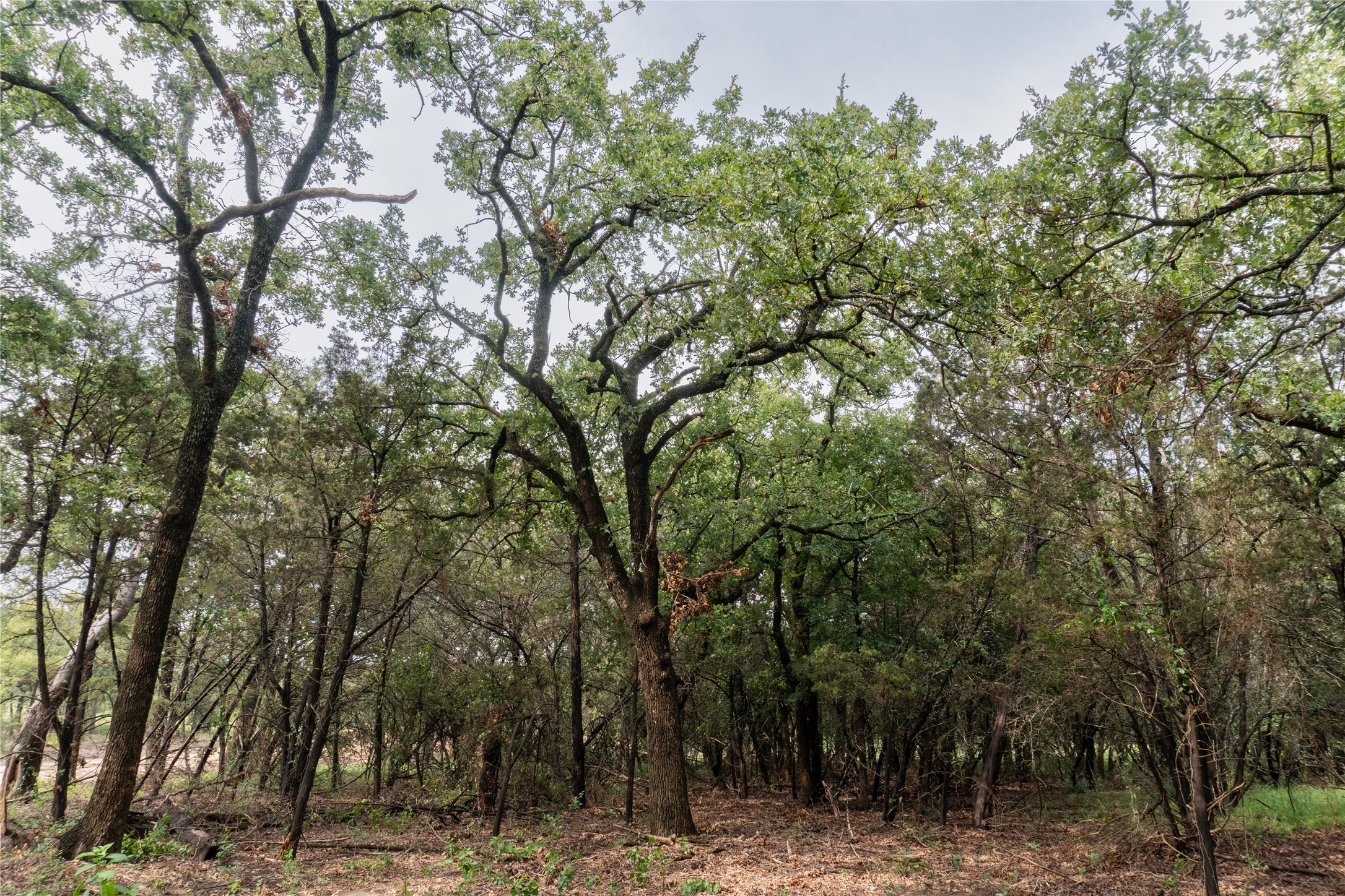 4750 Coleman Ranch Road Tolar TX 76476