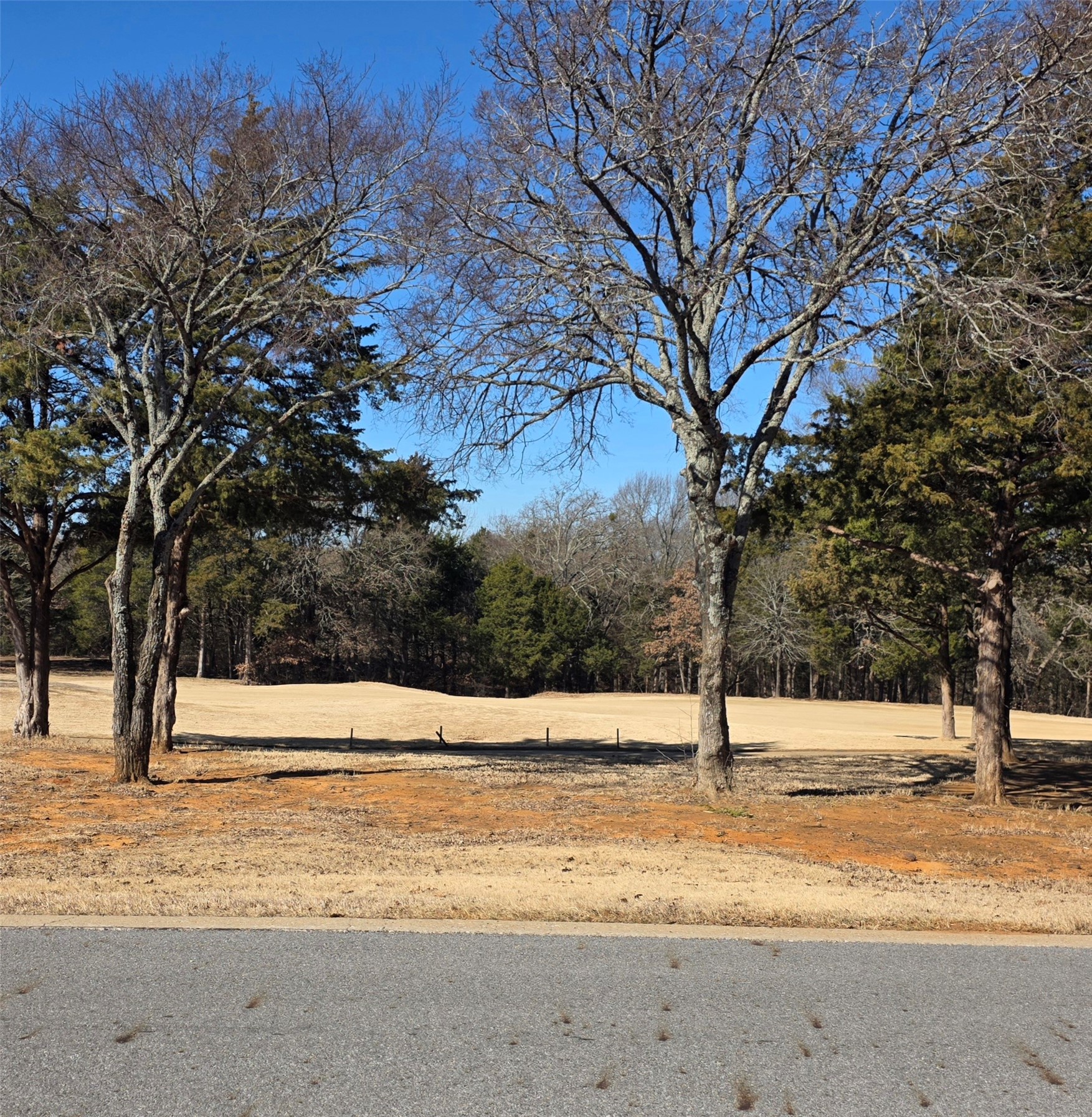 Lot 11 Reflection Bay Gordonville TX 76245