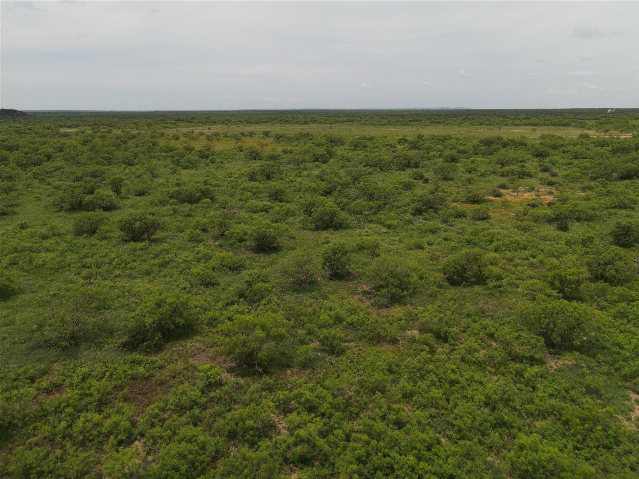 5703-5717 County Road 287 Ballinger TX 76821