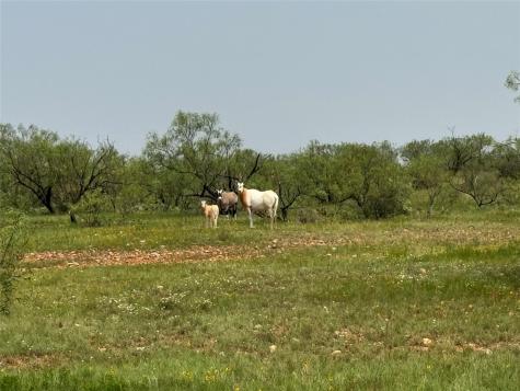 5703-5717 County Road 287 Ballinger TX 76821