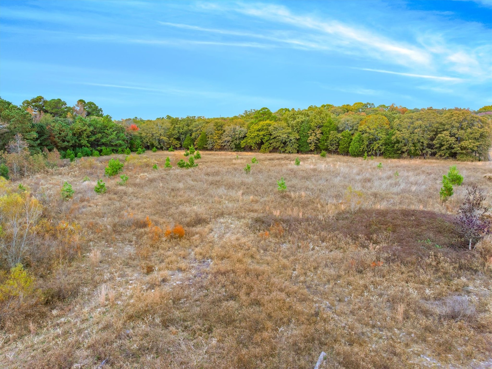 Tbd NW Loop 564 Mineola TX 75773