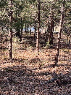 Lot 15,16 Loper Drive Streetman TX 75859