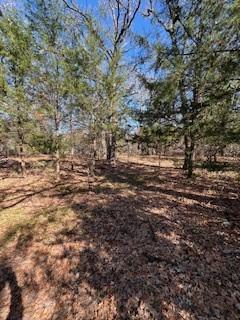 Lot 15,16 Loper Drive Streetman TX 75859