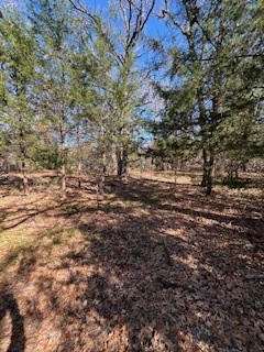 Lot 15,16 Loper Drive Streetman TX 75859