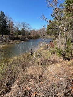 Lot 15,16 Loper Drive Streetman TX 75859