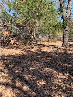 Lot 15,16 Loper Drive Streetman TX 75859