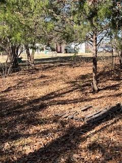 Lot 15,16 Loper Drive Streetman TX 75859