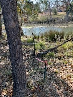 Lot 15,16 Loper Drive Streetman TX 75859