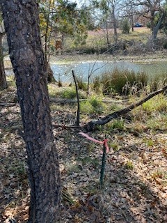 Lot 15,16 Loper Drive Streetman TX 75859