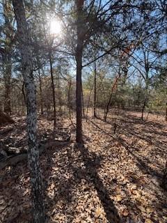 Lot 15,16 Loper Drive Streetman TX 75859